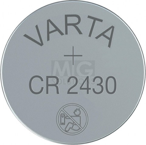 2381-2.jpg
