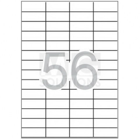2444.jpg